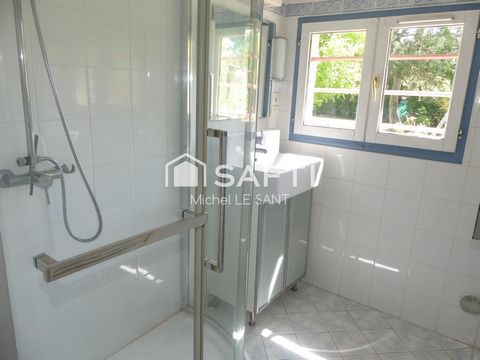 photo no. 12