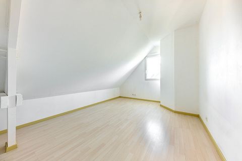 photo no. 6
