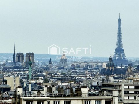 3 pièces sans vis-à-vis, vue Tour Eiffel, Notre-Dameles, les Invalides