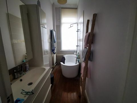 photo no. 8
