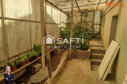 photo no. 8