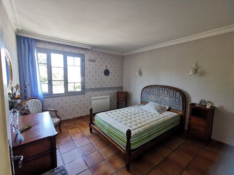photo no. 11