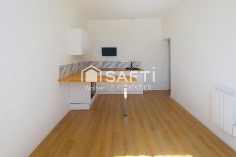 CHATEAU AVEC PLUSIEURS APPARTEMENTS REFAIT A NEUF DE 119 000 à 199 000 euros APPARTEMENT T3 NEUF AVEC JARDIN ET PLACE DE PARKING