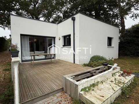 photo no. 11