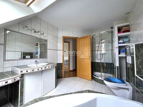 photo no. 11