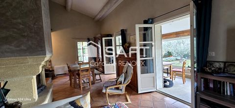 photo no. 13