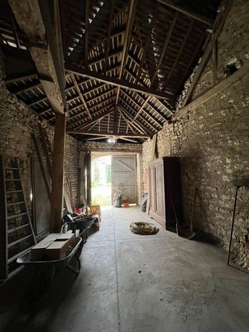 photo no. 18