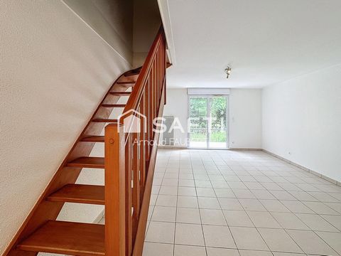 photo no. 8