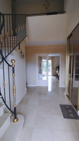 photo no. 11