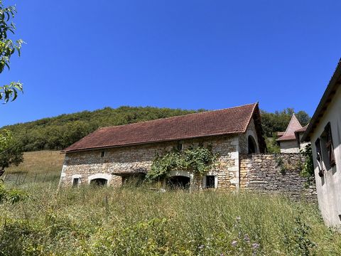 photo no. 9