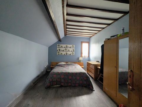 photo no. 5