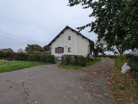 photo no. 10