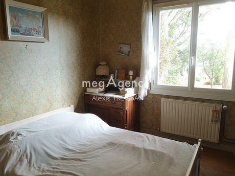 photo no. 9