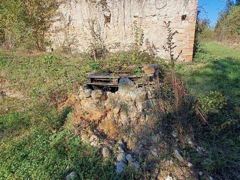 photo no. 12