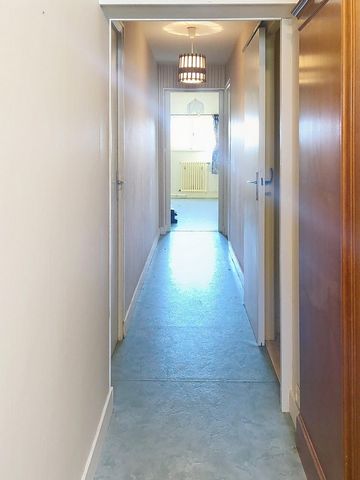 photo no. 11