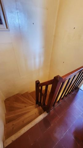 photo no. 13