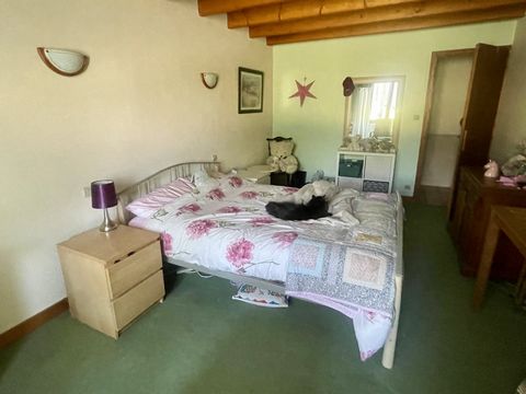 photo no. 6