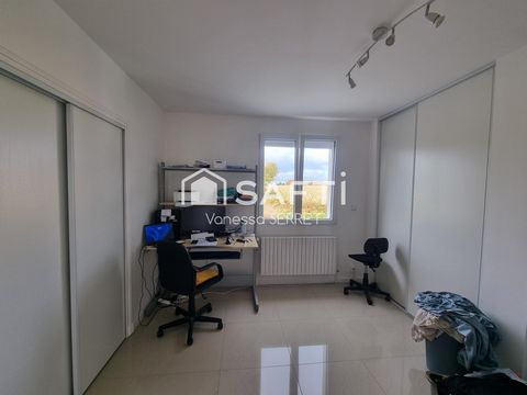 photo no. 11