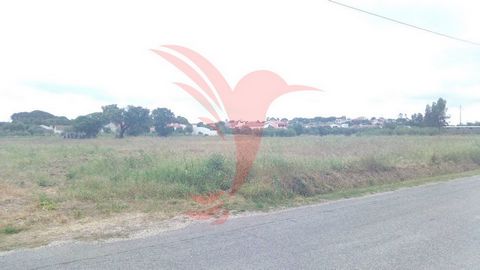 Rustic land in Gloria do Ribatejo, presents with an area of 10077M2 and with front of 100m, contiguous the municipal road properly paved. This land is urbanizable according to the Synthesis Charter of the Territorial Management Instruments of the Mun...