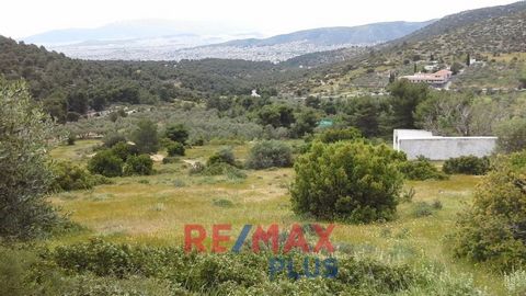 Fyli, Plot out of Settlement For Sale, Settlements Limits, 10.900 sq.m., with building 140 sq.m., View: Unlimited, Features: For tourist use, Price: 175.000€. REMAX PLUS, Tel: ... , email: ...