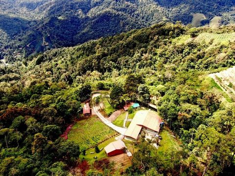 Gospodarstwo Bromelias de Tapantí to piękna nieruchomość o powierzchni 54 hektarów, położona 20 minut od centrum Cartago, na wysokości 1600 metrów nad poziomem morza i otoczona jest żywiołowym naturalnym pięknem, typowym dla tropikalnego lasu górskie...