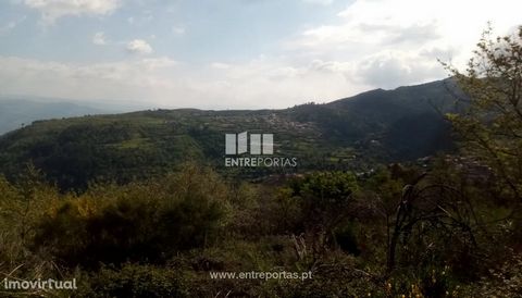 Land for sale with 6 300 m2 of area. This land has some slope and has some terraces. It offers reasonable access, excellent sun exposure and unobstructed views. Located near several services, such as commerce and public transport (Gestaçô Pharmacy). ...