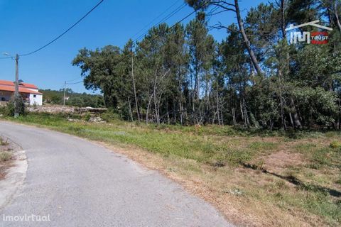 Land of 680 m2 with pine forest and cultivated land very well located in Bouceiros.