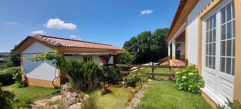 4 bedroom villa with annex on 3.500 sqm of land, just a few minutes from Óbidos. Located in a quiet village, with basic services cafés, restaurants and mini-markets and in a cul-de-sac, it is less than 10 minutes from Óbidos, Bombarral and the highwa...