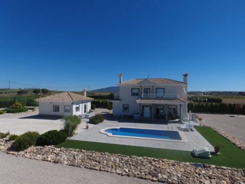 Deze prachtige villa ligt op 15 minuten lopen van Pinoso waar u alle voorzieningen vindt De luchthaven van Alicante en de stranden liggen op 45 minuten rijden met de auto De villa is gebouwd in 2015 en verkeert in perfecte staat Voor de ingang bevind...
