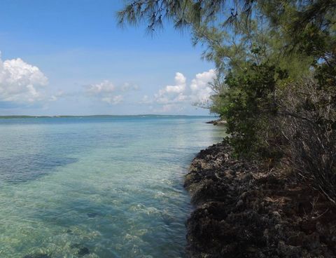 Discover an exceptional elevated waterfront property boasting 186 feet of prime water frontage in the coveted Whale Point, Subdivision in North Eleuthera. This exclusive locale offers a perfect blend of beachfront bliss, world-class boating, and exce...
