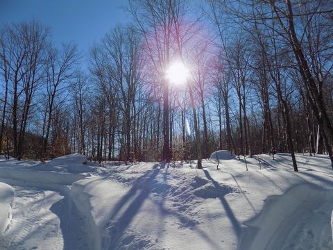 Shangrila Private Road. Huge wooded land of more than 300,000 square meters located on the Shangrila private road in the heart of nature! Enjoy the calm of birds, deer, moose and much more! 20 minutes from Lachute and 40 minutes from Saint-Sauveur. L...