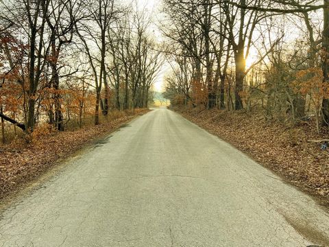 Burnham Road is a 11.2 +/- acre tract located in Howell County, Missouri less than a mile outside Willow Springs. This property has paved road frontage perfect for you hobby farm or a great location to build your dream home. Call today for you privat...