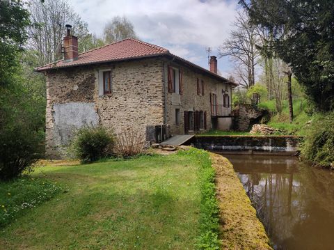 In the south of the Haute-Vienne department, on the edge of the Périgord Vert, lies Oradour-sur-Vayre. It is in the heart of this hilly territory of beautiful forests and meadows that this former Tardoire Mill is hidden. Hidden from view, in this buc...