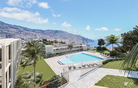 Beschrijving Ontdek de heuvels Stel je voor dat je leeft met de Atlantische Oceaan op de achtergrond, in een van de mooiste gebieden ter wereld. gewenst van Funchal. In het hart van Virtudes verschijnt The Hills, een privé-condominium dat belooft de ...