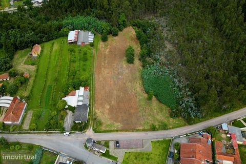 Fantástico terreno para venda em Macinhata do Vouga. Terreno com aproximadamente 8000 metros e uma frente de (cerca) 48 metros, situado numa zona calma próxima de varios serviços e de fáceis acessos a estradas principais como a A25 ou A1. Este imóvel...