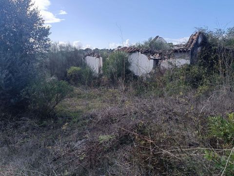 Apresentamos uma oportunidade única de adquirir um magnífico terreno situado numa das localizações mais desejadas do Alto Alentejo. Este terreno oferece o equilíbrio perfeito entre a tranquilidade da natureza e o luxo de uma localização privilegiada....