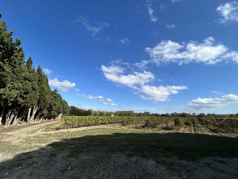photo no. 1
