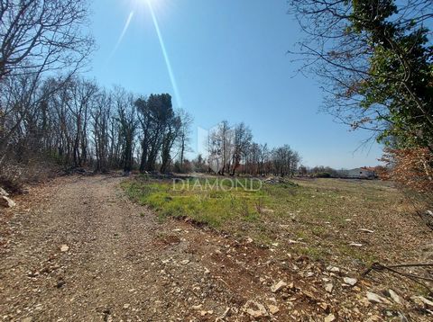 Location: Istarska županija, Tinjan, Radetići. Tinjan, Umgebung, wir verkaufen ein großzügiges Baugrundstück, das sich ideal für den Bau eines Ferienhauses eignet. Am Rande einer kleinen Siedlung in der Nähe von Tinjan steht eine Kombination aus Bau-...