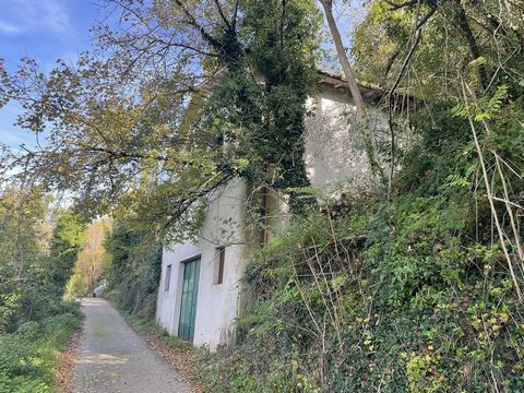 In Cerreto di Spoleto, etwas außerhalb des Stadtzentrums, bieten wir ein auf zwei nicht miteinander verbundenen Ebenen angeordnetes Lagergebäude mit einer Gesamtfläche von 80 m2 zum Verkauf an. Das Gebäude befindet sich derzeit im Rohzustand. Das Anw...