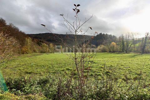 REF 67832 CC : 30 minutes from Montbéliard and 5 minutes from Saint-Hippolyte, discover this rare gem nestling in the heart of unspoilt countryside. A gîte with 4 flats. All to ERP standards. With its licence IV, it can be used as a main source of in...