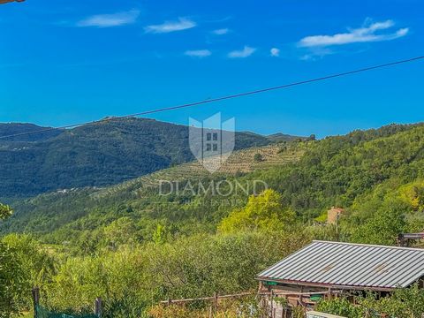 Location: Istarska županija, Buzet, Buzet. Istrien, Buzet-Gebiet Zum Verkauf steht ein istrisches Steinhaus zur Anpassung mit mehr Land in ruhiger Lage in der Nähe von Buzet und Motovun. Das Haus erstreckt sich über Erdgeschoss, 1. Stock und 2. Stock...