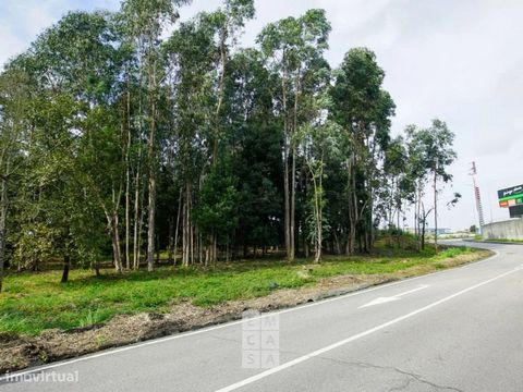 Terreno com uma ótima localização, junto ao Pingo Doce de Santa Maria da Feira. Inserido, segundo o PDM, em zona de construção (Espaço residencial nível II), permitindo construção de moradias ou prédio em altura. Localizado em zona tranquila, apresen...