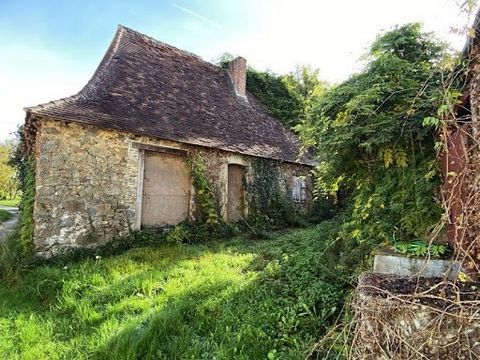 Maxime MINOLA biedt u dit stenen huis aan op het platteland van de Périgord, zonder overlast. Dit stenen huis van 50m² met open haard, moet volledig worden gerenoveerd, mogelijkheid om de oppervlakte te verdubbelen door een vloer te creëren. Buiten e...