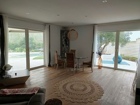 photo no. 16