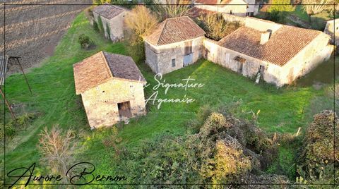 EXCLUSIVITÉ - Amoureux des projets immobiliers alliant rénovation et grands espaces, cette propriété peut vous offrir ce que vous cherchez ! À 10 minutes de Nérac, dans un petit hameau calme, vous avez ici l'opportunité de rénover tout un ensemble im...