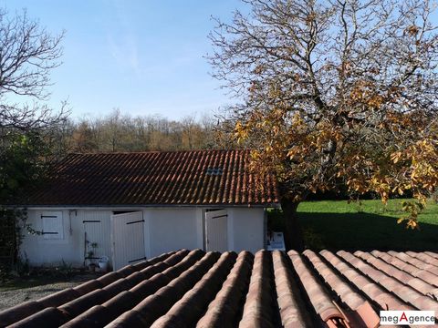 photo no. 15