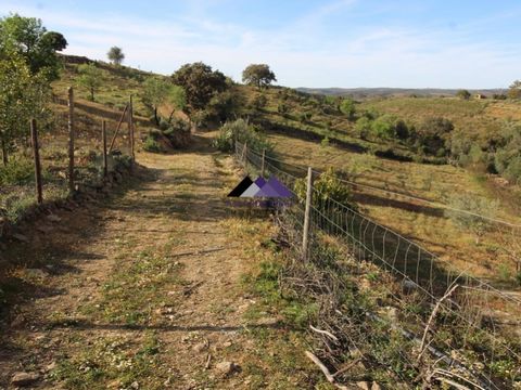 Rustic land in Odeleite, 2 articles with a total of 38320 m2. Composed of 300 Vines, 100 Carob Trees, Broad Beans and Garlic. It also has a 145 meter hole and drip irrigation. Learn more and better with us.