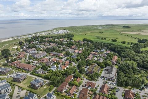 Sie betreten diese freundliche Ferienwohnung am Hollwert 33 a im Erdgeschoss durch eine geräumige Diele. Geradeaus gelegen das helle Fensterduschbad mit Waschmaschine. Eine separate helle Küche bietet Ihnen eine komplette Grundausstattung. Weiter geh...