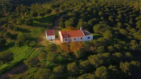 Blandad mark med 377 080 m², i Fonte, Vale das Zorras - Castro Marim - Algarve. Nära till golfklubben i Castro Marim. Gård med egen sjö. Fri utsikt över Algarvebergen. Havsutsikt och utsikt över Salinas de Castro Marim. Mark med många träd, många tal...