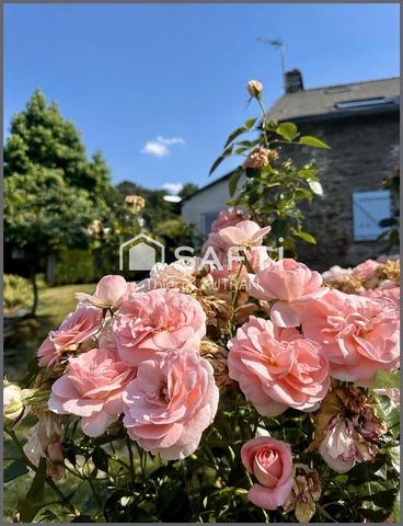 photo no. 10